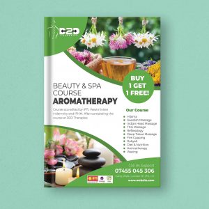 aromatherapy book pdf